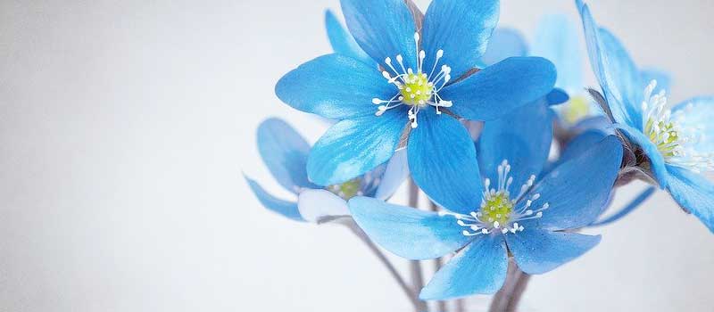 今から遊べる女と出会える優良サイト厳選3選 0002